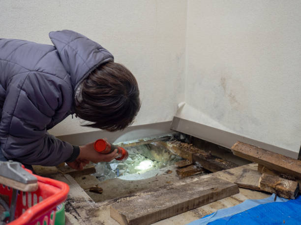 Best Comprehensive Air Testing for Mold Contaminants  in Merrill, WI