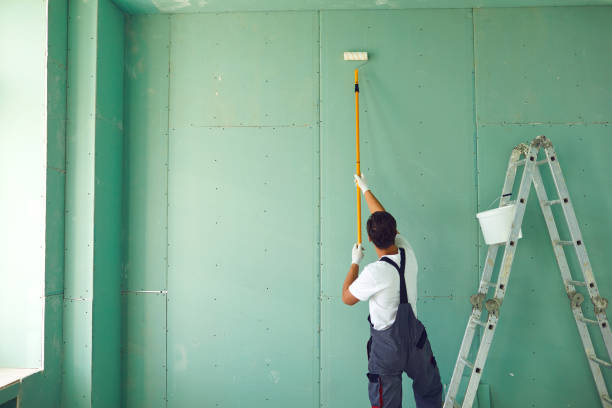 Best Emergency Mold Remediation  in Merrill, WI