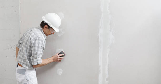  Merrill, WI Mold Removal Pros
