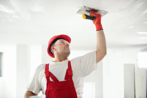 Best Mold Remediation for Healthcare Facilities  in Merrill, WI