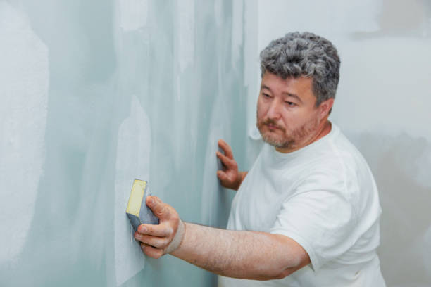 Best Environmental Consulting for Mold Prevention  in Merrill, WI
