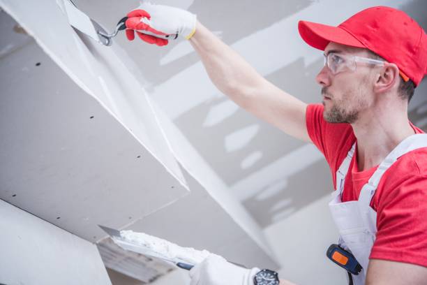 Best Mold Damage Restoration  in Merrill, WI